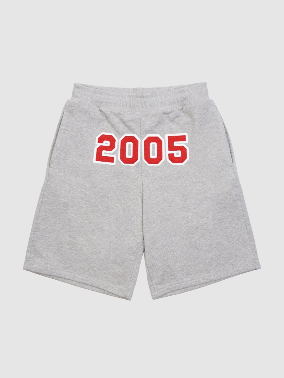 Spodnie 2005 | Dunk Shorts (Heater Gray)