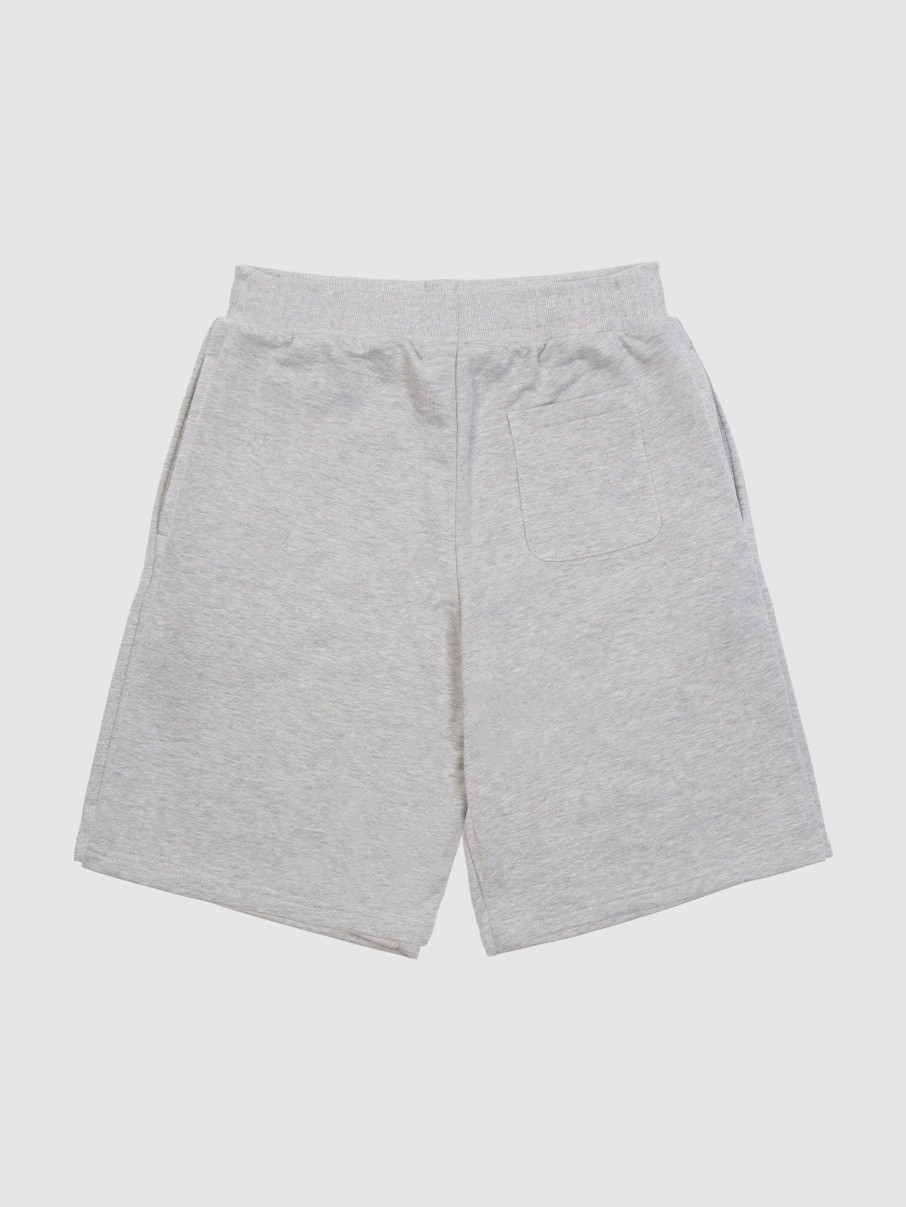 Spodnie 2005 | Dunk Shorts (Heater Gray)