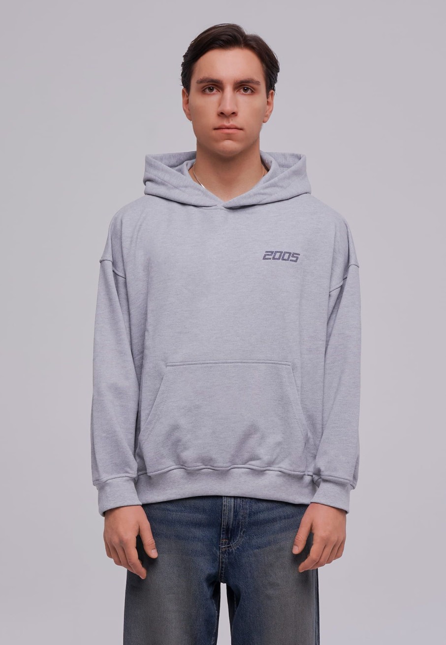 Bluzy 2005 | Basic Hoodie (Heater Gray)